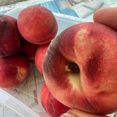 Inflazione: il caldo spinge i consumi ma per frutta e verdura i prezzi triplicano