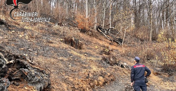 Lotta agli incendi boschivi in Piemonte, in due mesi già venti le persone denunciate