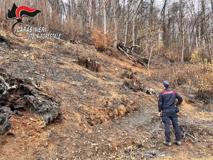Lotta agli incendi boschivi in Piemonte, in due mesi già venti le persone denunciate Lotta agli incendi boschivi in Piemonte, in due mesi già venti le persone denunciate