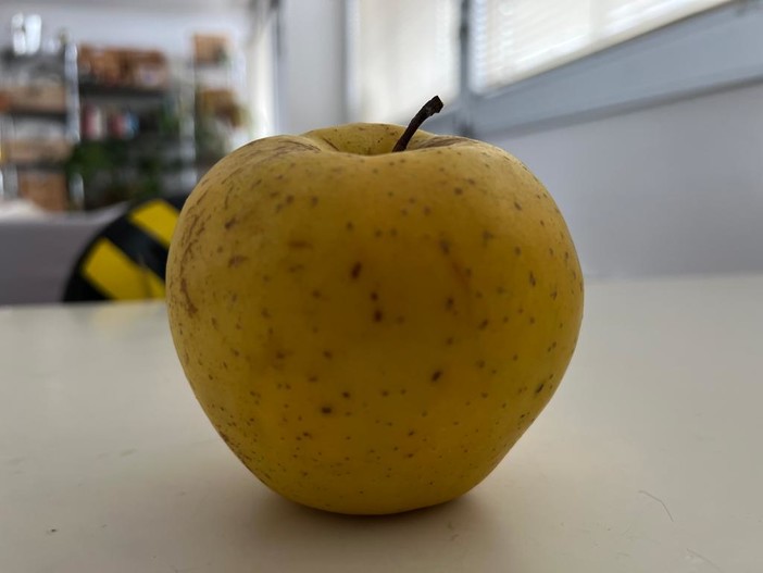 Consumi, Coldiretti: addio a 1 frutto su 10 sulle tavole degli italiani