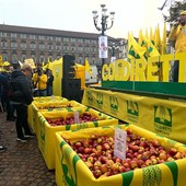 SoS frutta: gli agricoltori con 4 kg di mele comprano 1 caffè [video]