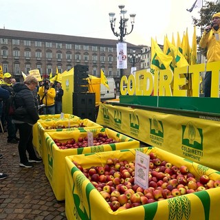 SoS frutta: gli agricoltori con 4 kg di mele comprano 1 caffè [video]