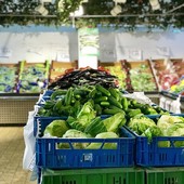 Negozi di vicinato, a Torino la crisi morde sempre di più