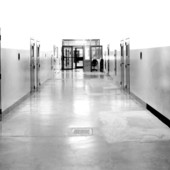 Sesso in carcere, da sabato a Torino prende avvio la sperimentazione delle "stanze" dell'amore Sesso in carcere, da sabato a Torino prende avvio la sperimentazione delle "stanze" dell'amore