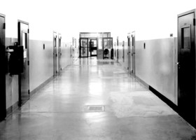 Sesso in carcere, da sabato a Torino prende avvio la sperimentazione delle "stanze" dell'amore Sesso in carcere, da sabato a Torino prende avvio la sperimentazione delle "stanze" dell'amore