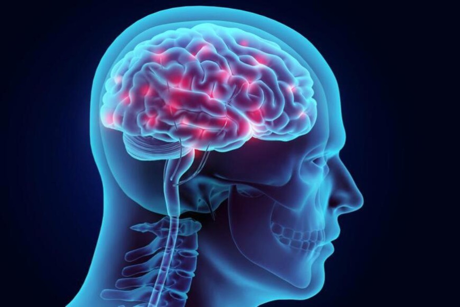 Epilessia, nascerà una rete dedicata all'interno di Neurologia di Azienda Zero