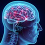 Epilessia, nascerà una rete dedicata all'interno di Neurologia di Azienda Zero
