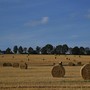 I numeri non mentono, è il cibo la prima ricchezza del Paese