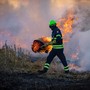 Piemonte, stato di massima pericolosità per gli incendi boschivi Piemonte, stato di massima pericolosità per gli incendi boschivi
