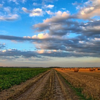 Caldo, estendere la Cassa integrazione agli stagionali per gli eventi climatici
