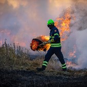 Piemonte, stato di massima pericolosità per gli incendi boschivi Piemonte, stato di massima pericolosità per gli incendi boschivi