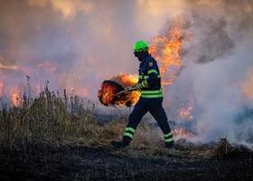 Piemonte, stato di massima pericolosità per gli incendi boschivi Piemonte, stato di massima pericolosità per gli incendi boschivi