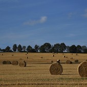 I numeri non mentono, è il cibo la prima ricchezza del Paese