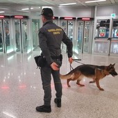 Immigrazione clandestina, a Torino la Guardia di Finanza arresta nove persone