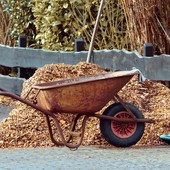 Cantieri di lavoro over 58, un’opportunità per i lavoratori senior. Altri 38 progetti si aggiungono ai 90 già finanziati