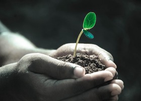 Dodici milioni per la lotta al consumo di suolo, Regione Piemonte lancia un bando per i Comuni
