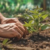 Legge Caselli, pronta la norma contro le frodi agroalimentari voluta dall'Osservatorio Agromafie