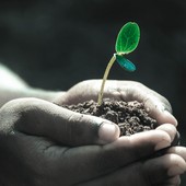 Dodici milioni per la lotta al consumo di suolo, Regione Piemonte lancia un bando per i Comuni