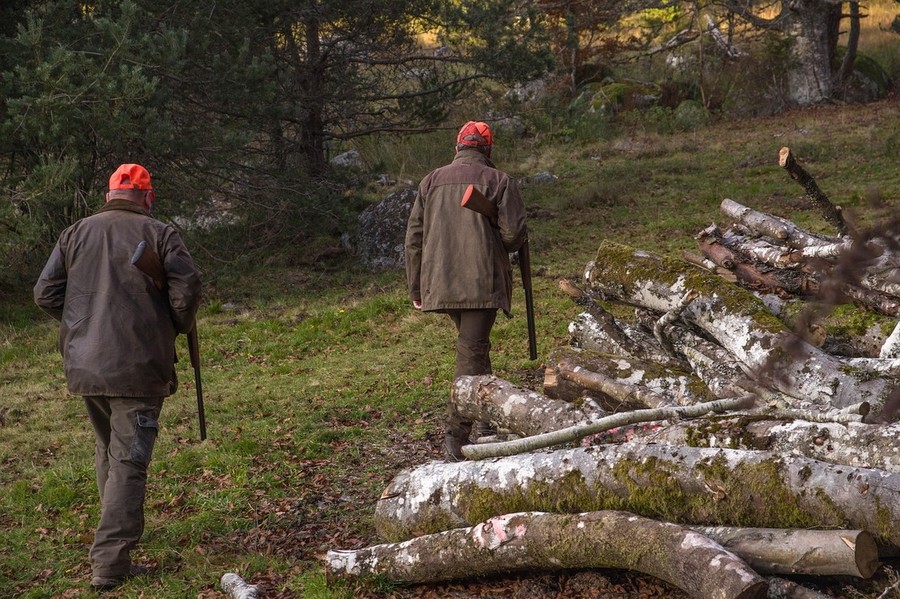 Aperta la caccia alla fauna tipica alpina, specie già in sofferenza Aperta la caccia alla fauna tipica alpina, specie già in sofferenza