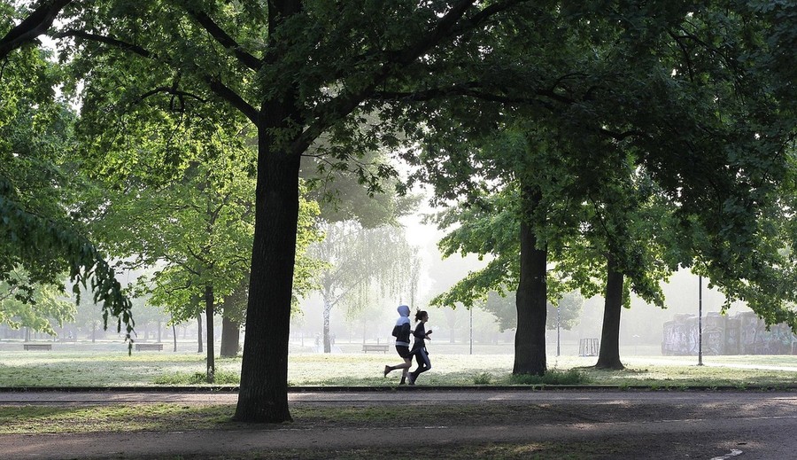Per contrastare le isole di calore in città aumentiamo aree verdi e alberate
