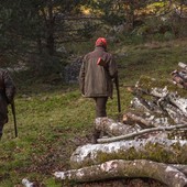 Aperta la caccia alla fauna tipica alpina, specie già in sofferenza Aperta la caccia alla fauna tipica alpina, specie già in sofferenza