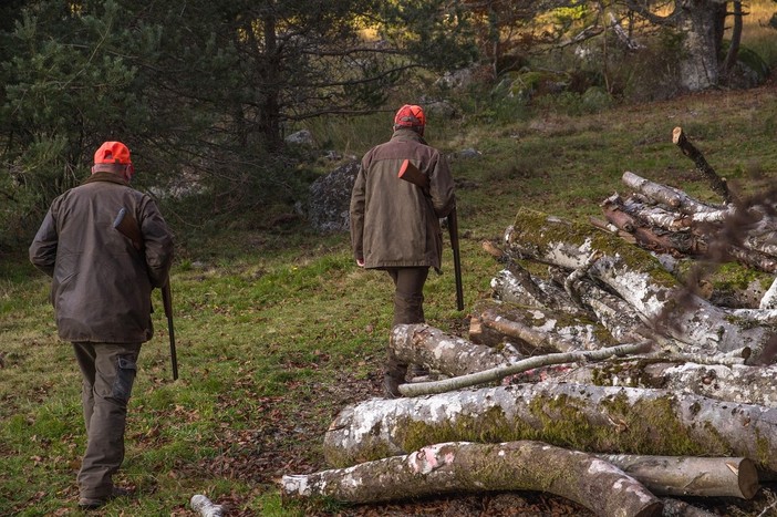 Aperta la caccia alla fauna tipica alpina, specie già in sofferenza Aperta la caccia alla fauna tipica alpina, specie già in sofferenza