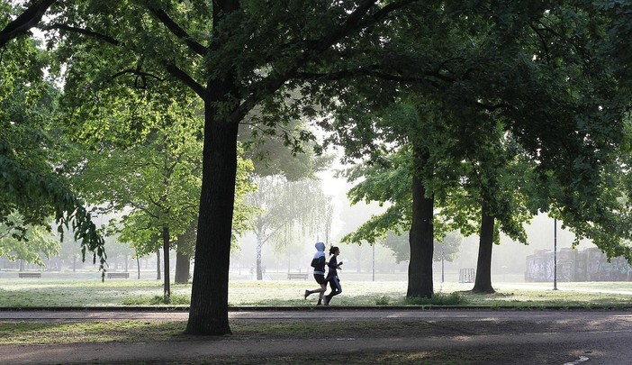 Per contrastare le isole di calore in città aumentiamo aree verdi e alberate