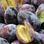 Quotazioni insostenibili per la frutta destinata all’industria