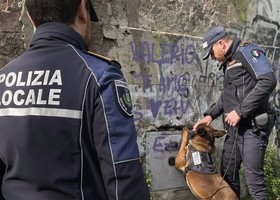 Nasce il primo gruppo cinofilo regionale della Polizia locale Nasce il primo gruppo cinofilo regionale della Polizia locale