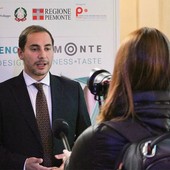 La Lega vuole la Zona Economica Speciale per il Piemonte La Lega vuole la Zona Economica Speciale per il Piemonte