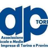Per Api Torino dalla lege di bilancio 2026 servono regole chiare e protezione per le imprese Per Api Torino dalla lege di bilancio 2026 servono regole chiare e protezione per le imprese